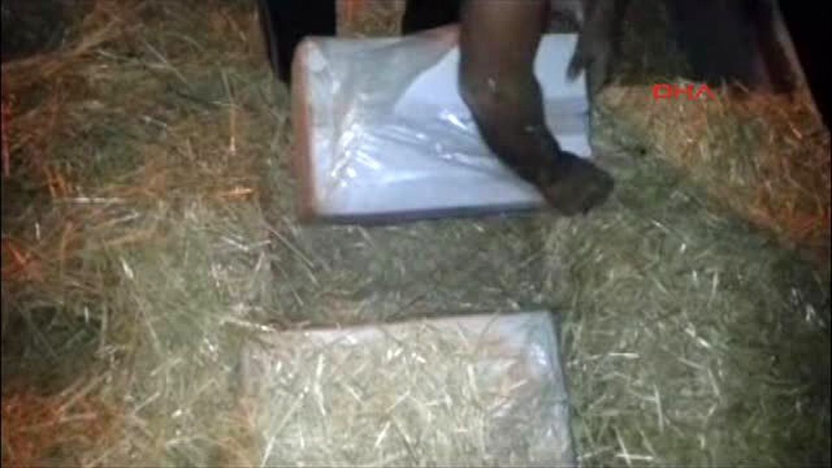 Uşak\'ta 39 Bin 500 Paket Kaçak Sigara