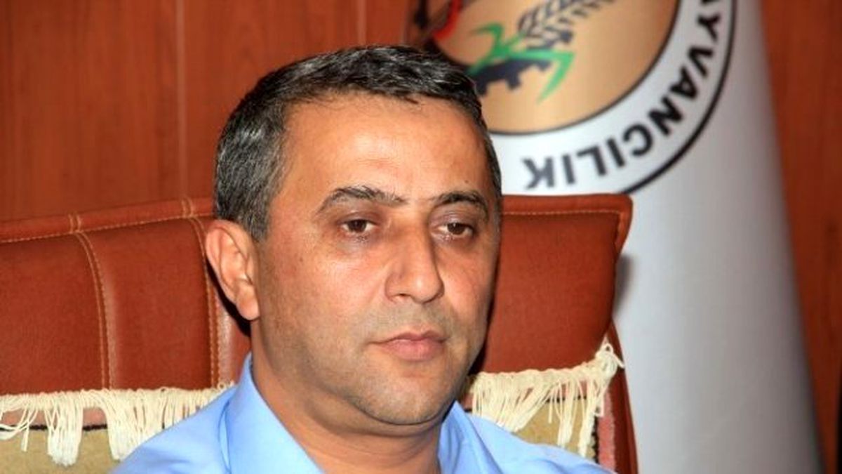 Yerfıstığı Tarımında Yanlış Uygulamalara Dikkat