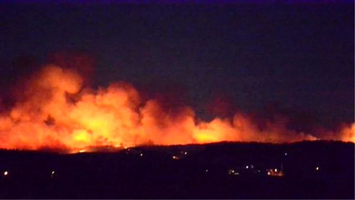 Bursa\'da Orman Yangını (4)