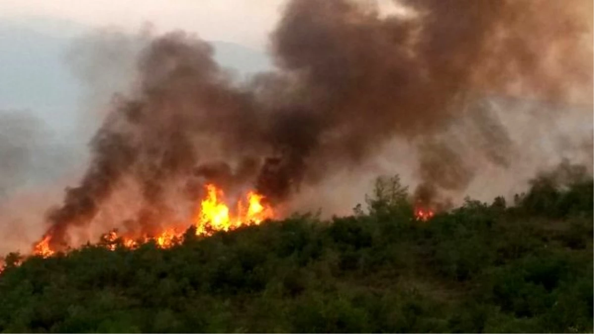 Piknik Ateşinden Çıkan Yangın 12 Saatte Kontrol Altına Alındı