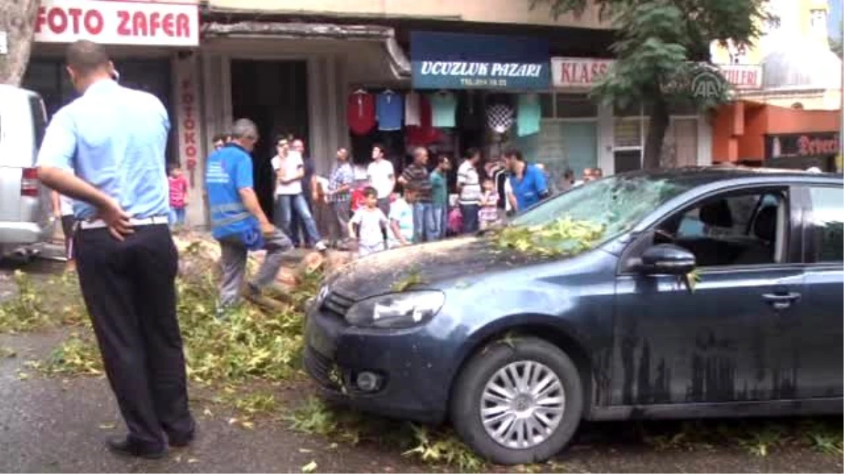 Çınar Ağacı Otomobilin Üzerine Devrildi