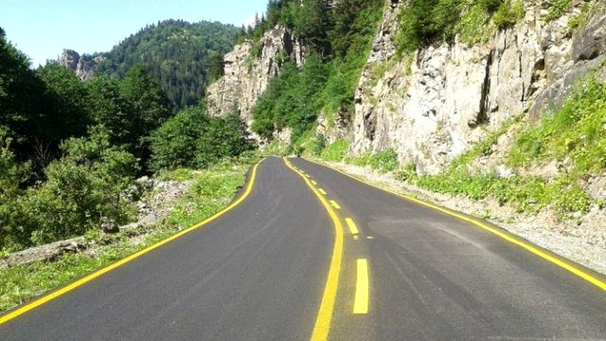 Dokap Başkanı "Yeşil Yol"U Savundu