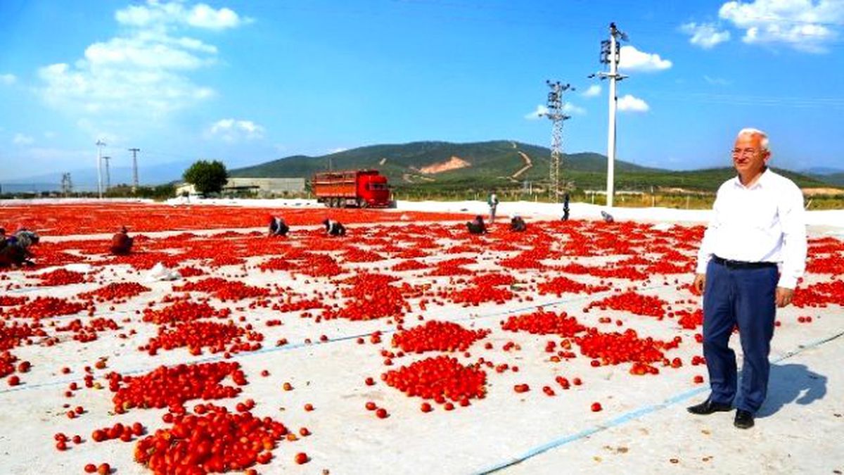 İşsiz Gençler Bu İlçeye Koşuyor