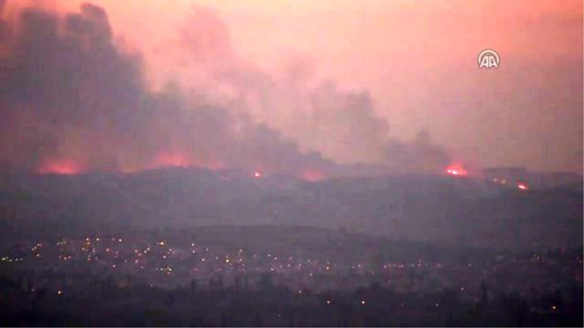 Mudanya\'da Ormanlık Alanda Yangın Çıktı (3)