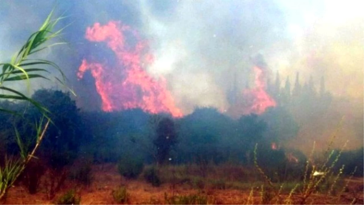 Antalya\'da Tarım Arazisinde Yangın