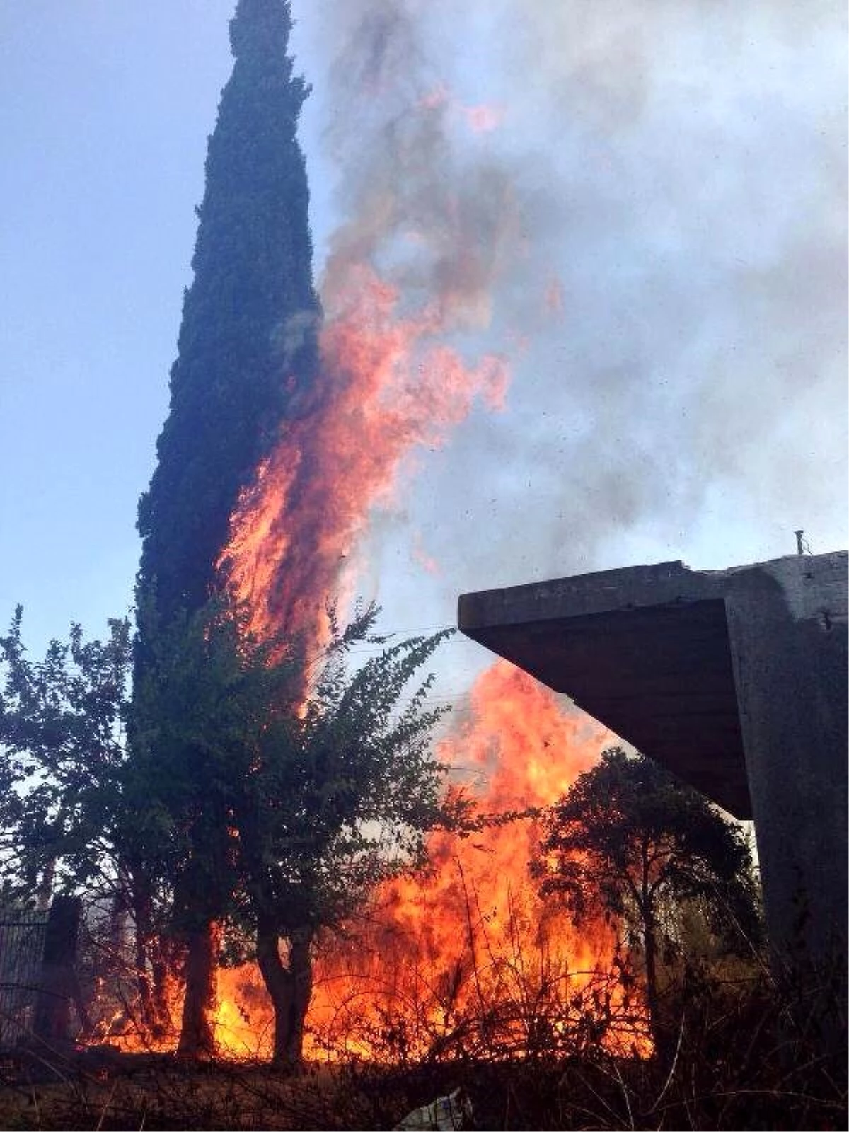 Antalya Kırcami\'de Makilik Alanda Yangın (1)