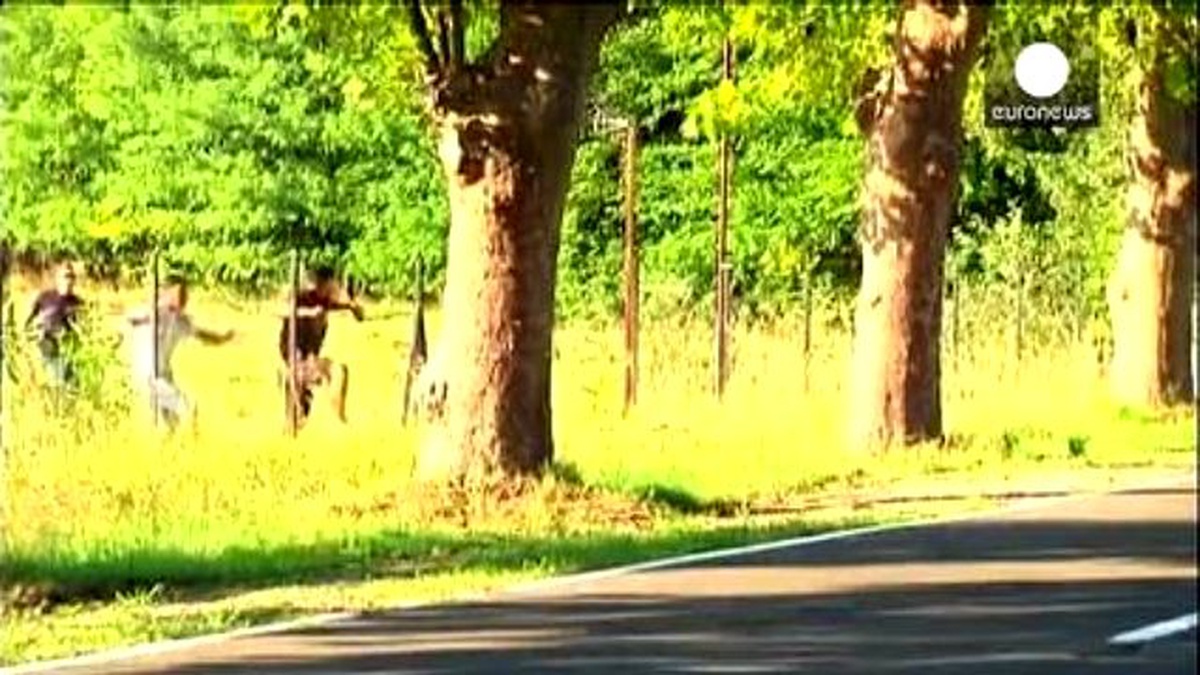 Macaristan Sınır Güvenliğine Bulgarlardan Destek