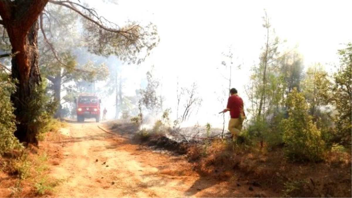 Mut\'daki Orman Yangını Kontrol Altına Alındı