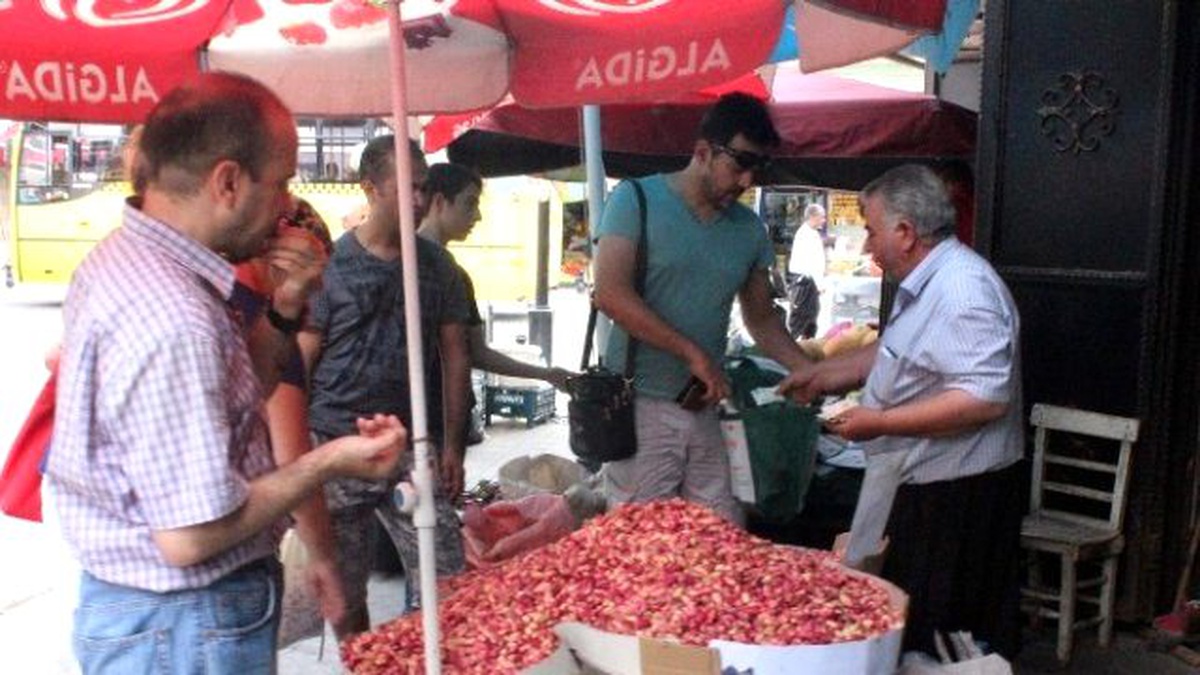Taze Antep Fıstığına Rağbet Artıyor