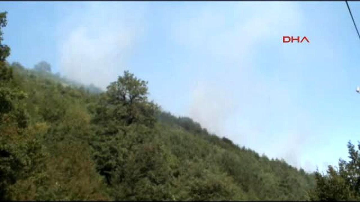 Kastamonu\'da Orman Yangını