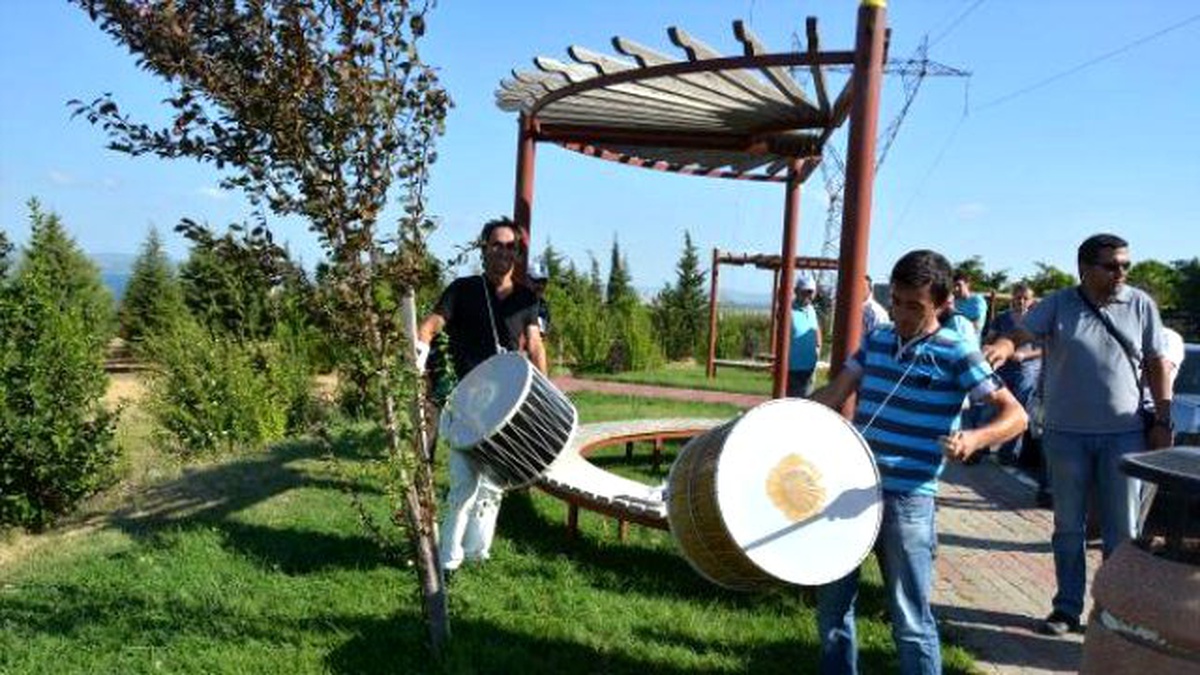 Üniversiteye İnen Domuzları Davul Çalıp Kovaladılar