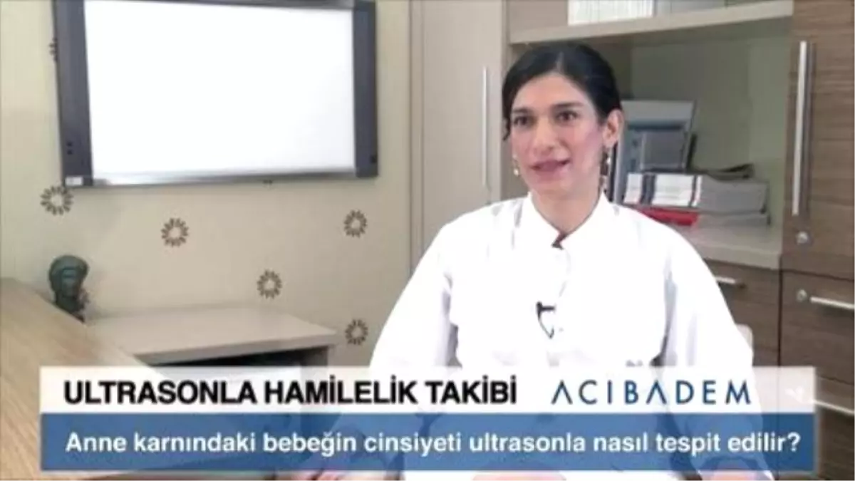 Anne Karnındaki Bebeğin Cinsiyeti Ultrasonla Nasıl Tespit Edilir?