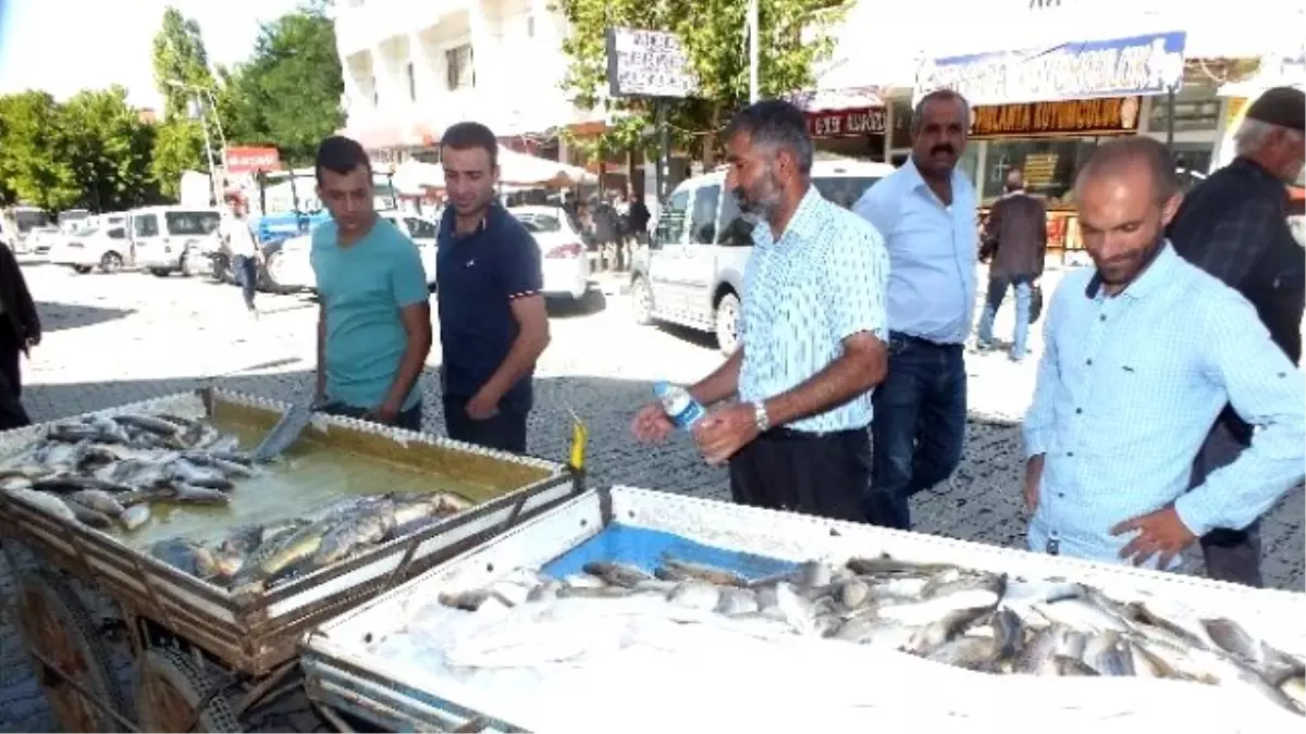 Balıklar Tezgâhlardaki Yerini Aldı