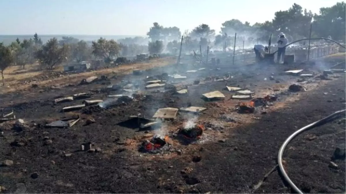 Doğanbey Yangınında Yüzerce Kovan Arı ve Bal Teef Oldu