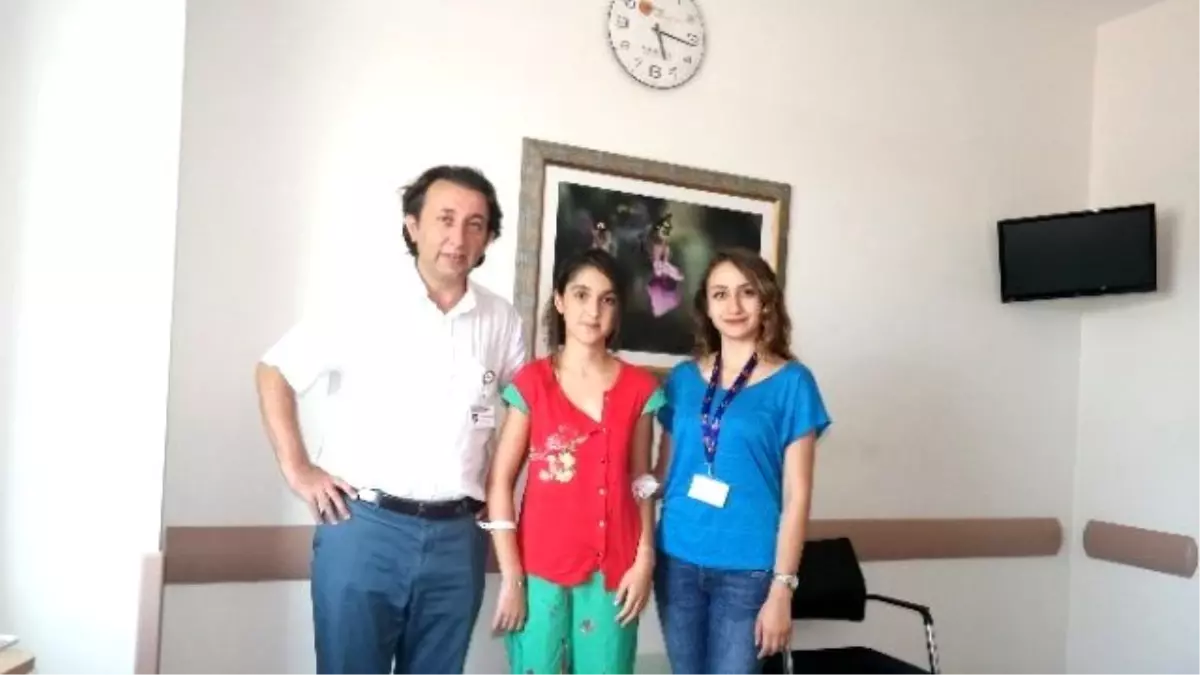 Eylül, Yeniden Hayat Buldu