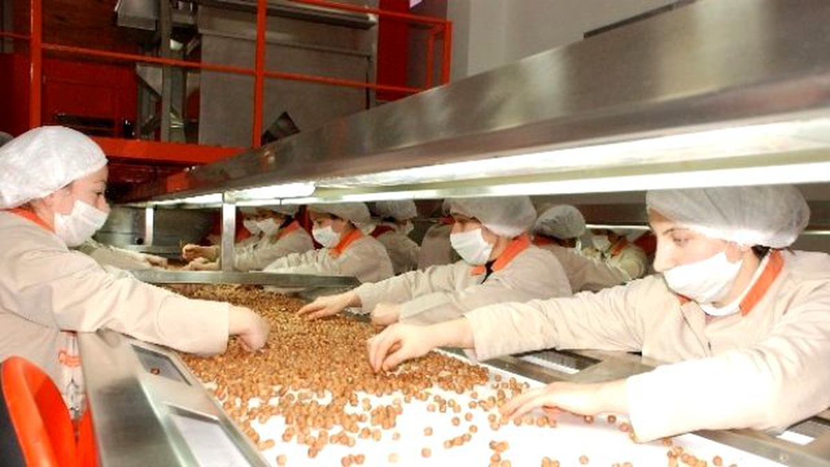 Fındık İhracatında Tüm Zamanların Rekoru Kırıldı