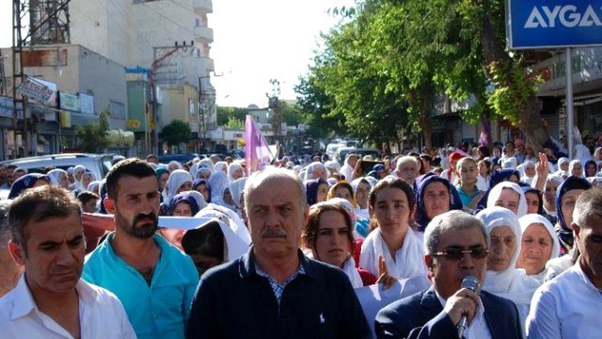 İdil\'de "1 Eylül Dünya Barış Günü" Yürüyüşü