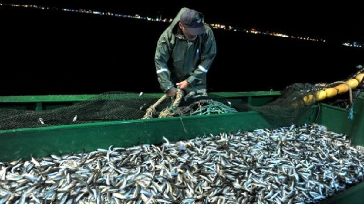 Ege\'de Balıkçılar "Vira Bismillah" Dedi