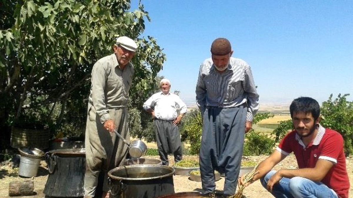 Samsat\'ta Bağbozumu Başladı