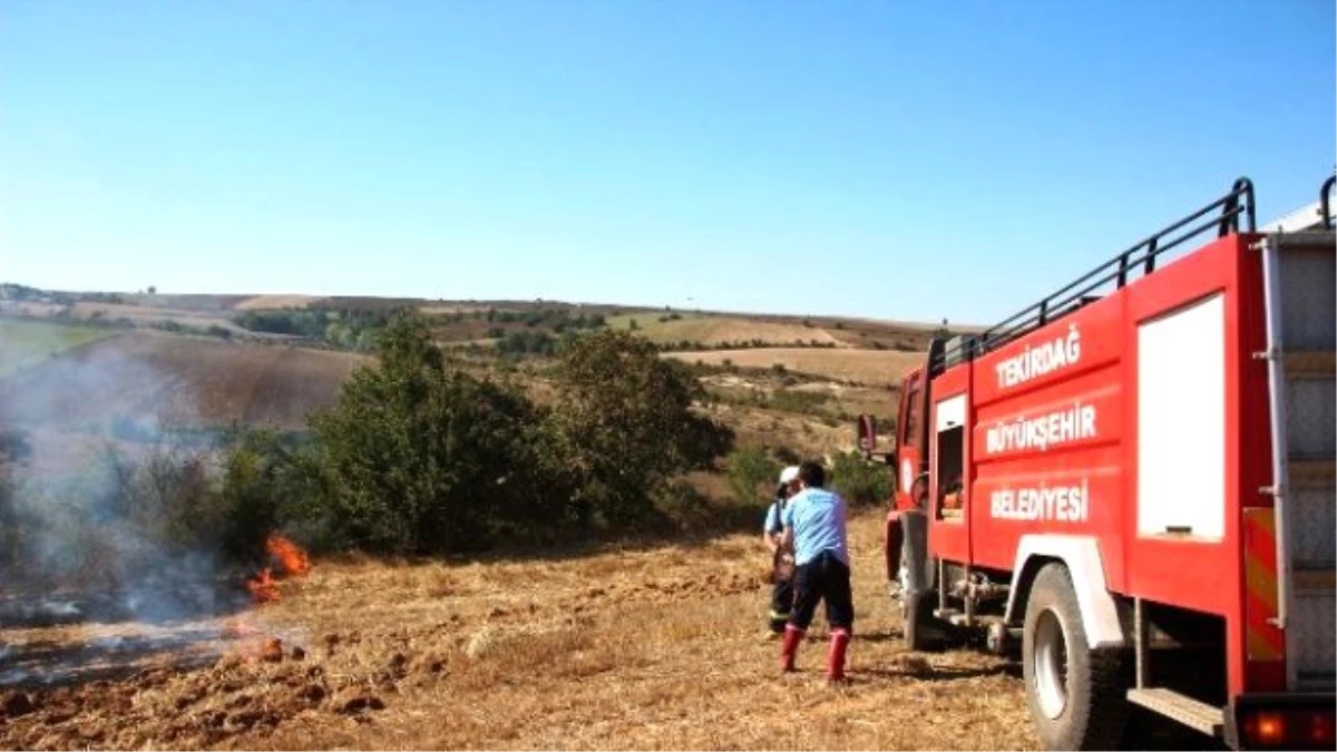 Tekirdağ\'da Anız Yangını Korkuttu