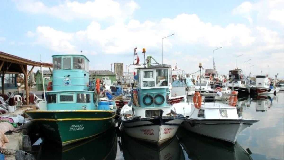 Yalovalı Balıkçılar Karadeniz\'in Yolunu Tuttu