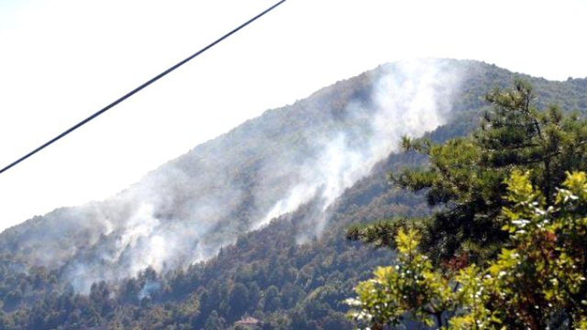 Zonguldak\'ta 3 Hektarlık Orman Alanı Yangında Zarar Gördü