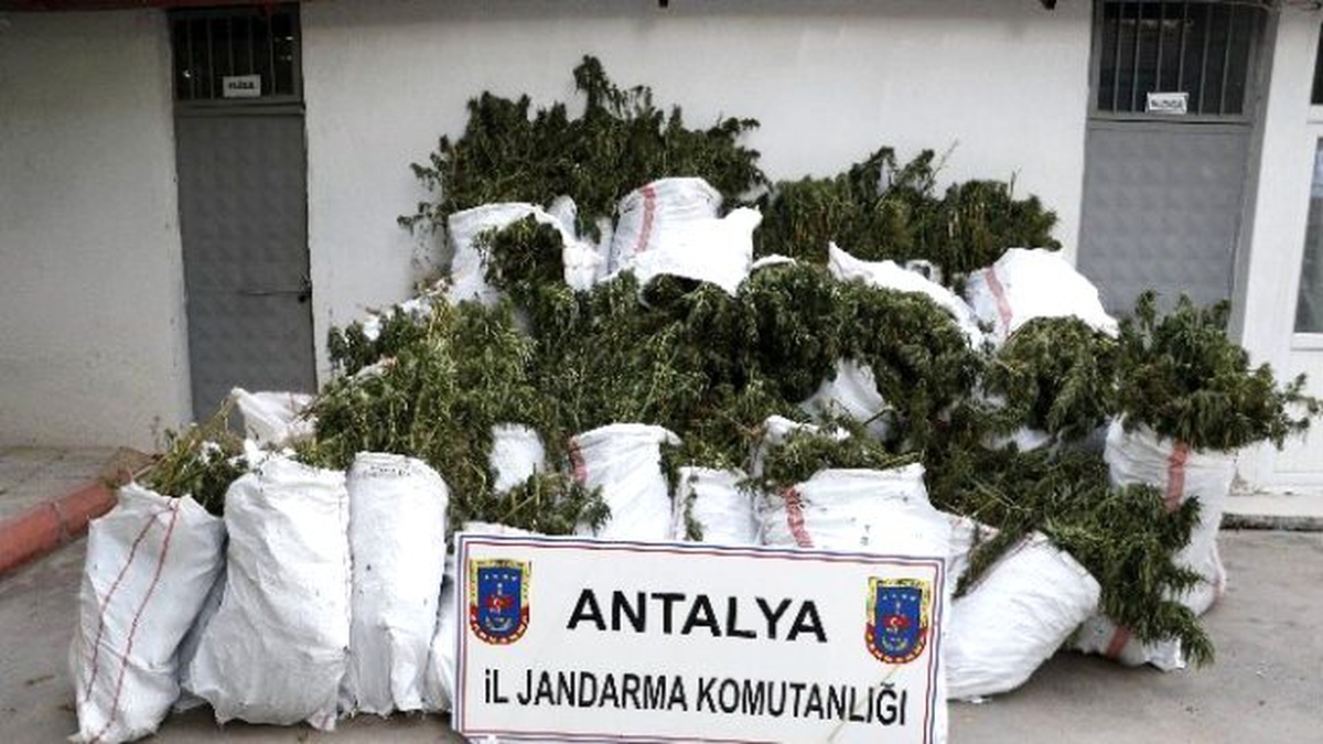 Aksu Jandarmasından Uyuşturucu Operasyonu