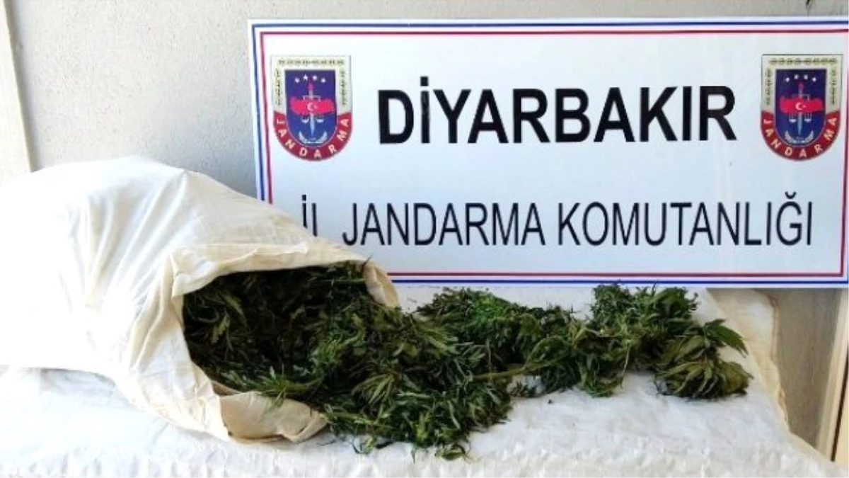 Diyarbakır\'da 17 Buçuk Kilo Uyuşturucu Ele Geçirildi