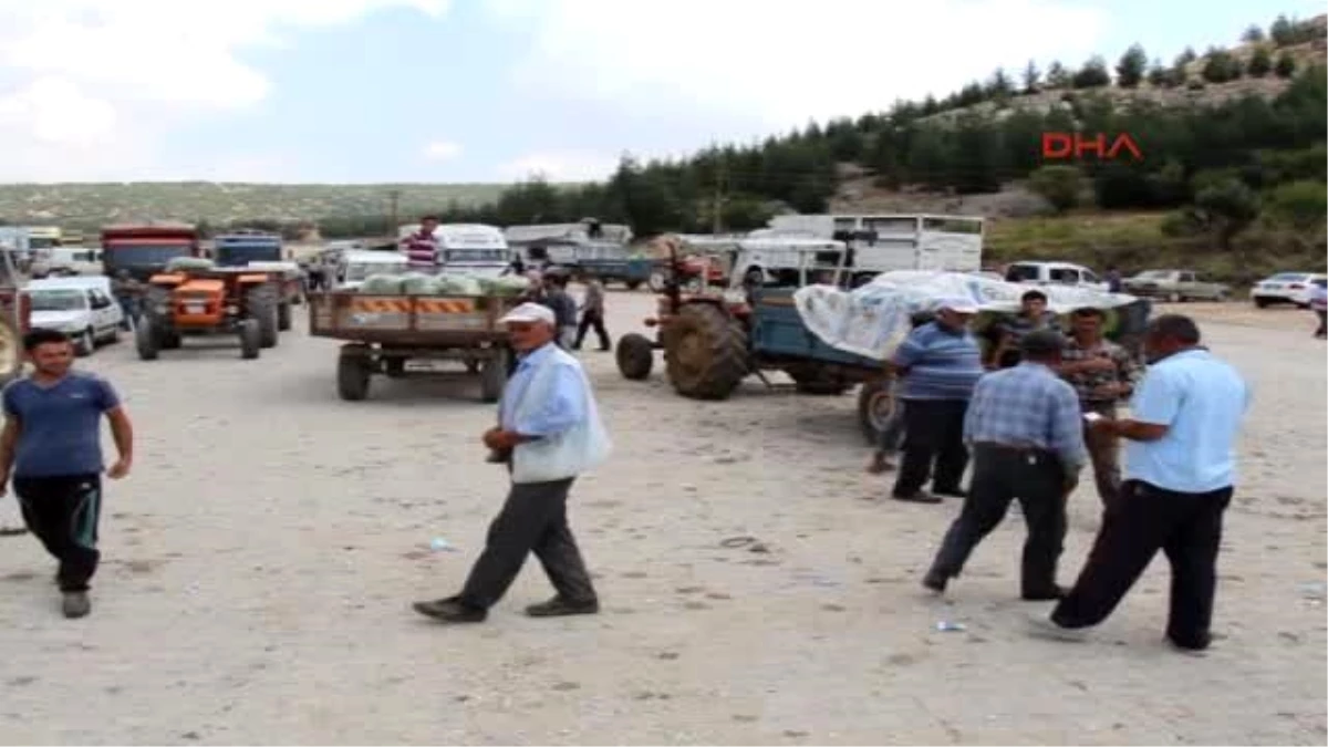 Taze Fasulyede Verim Düştü, Fiyat Yükseldi