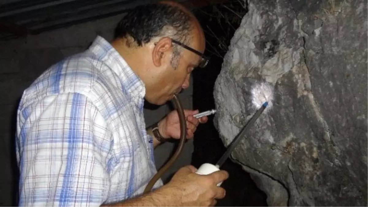 Antalya'da Şark Çıbanı Vakalarıyla Mücadele Çalışmaları