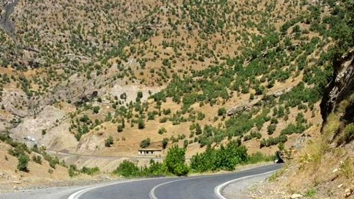 Şırnak\'ta Yola Döşenen Bomba İmha Edildi