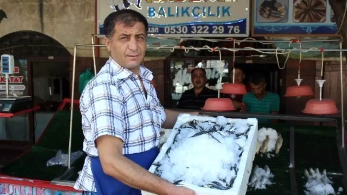 Kilis\'te Balık Tezgaha İndi