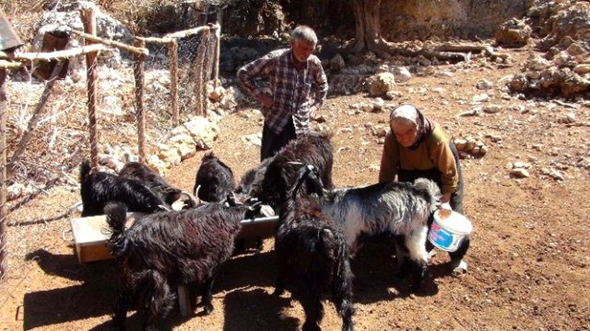 Kurbanlıkların Üzerine Yıldırım Düştü