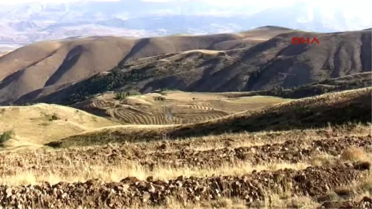 Erzurum - Kop Dağı 340 Bin Fidanla Yeşillendirilecek