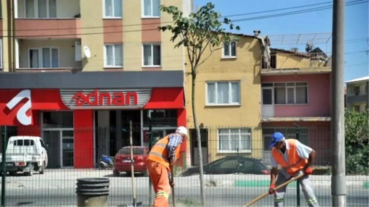 Orhangazi ve Büyükşehir Belediyeleri Yol Kenarlarına 400 Ağaç Dikti