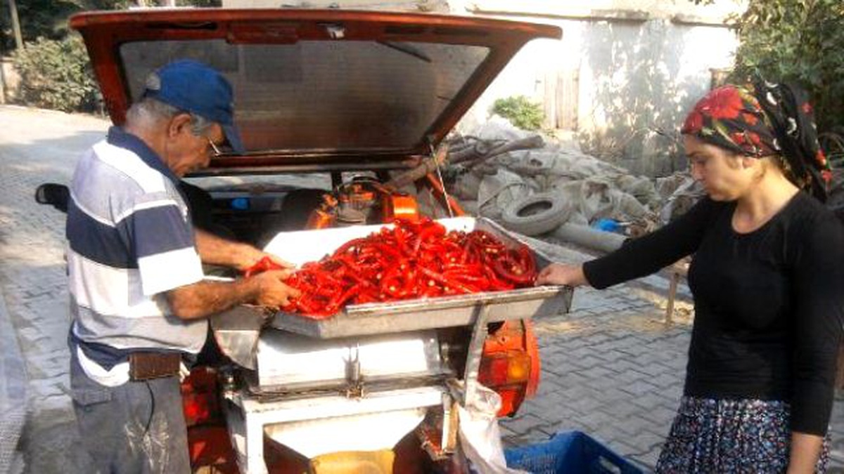 Otomobilin Bağajında Salçalık Biber Çekiyor