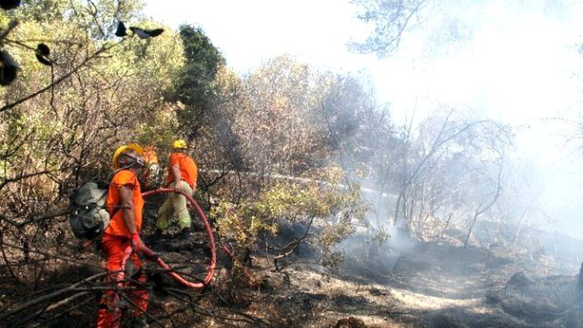 Lüks Villalarda Orman Yangını Paniği