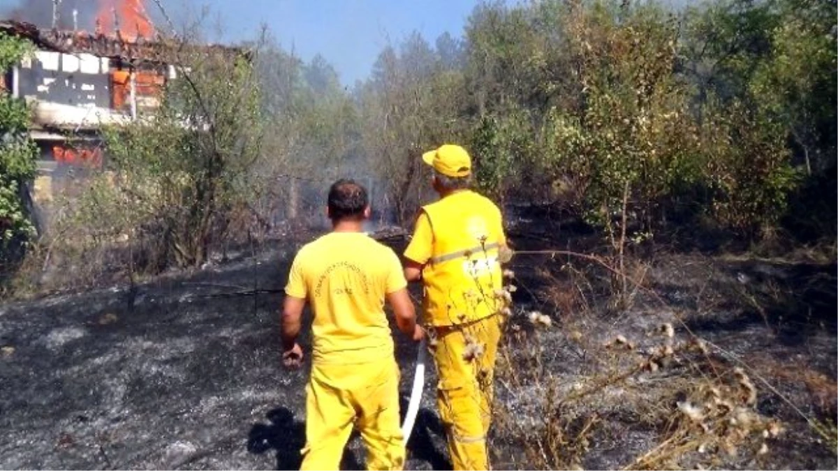 Ulus\'ta 2 Noktada Orman Yangını Çıktı
