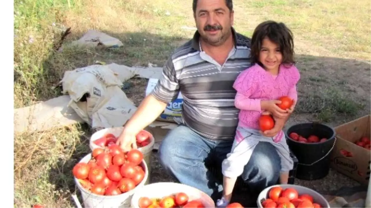 Bilinçli Üretim Kazandırıyor