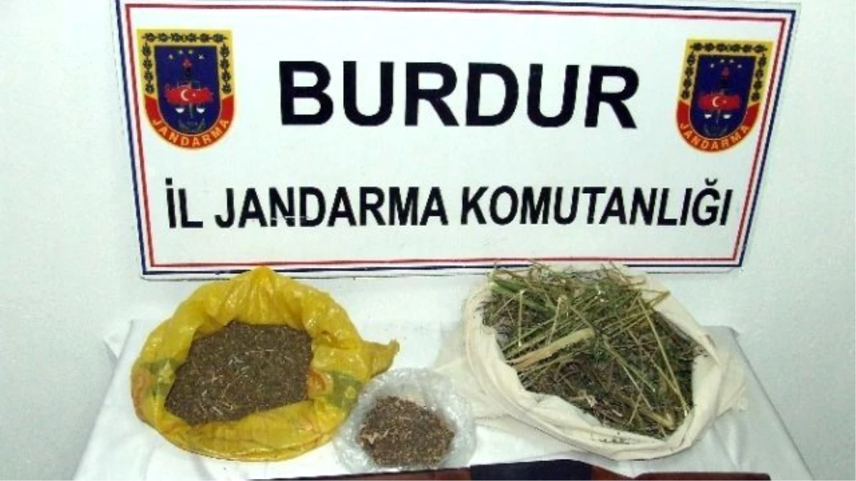 Burdur\'da Uyuşturucu Operasyonu