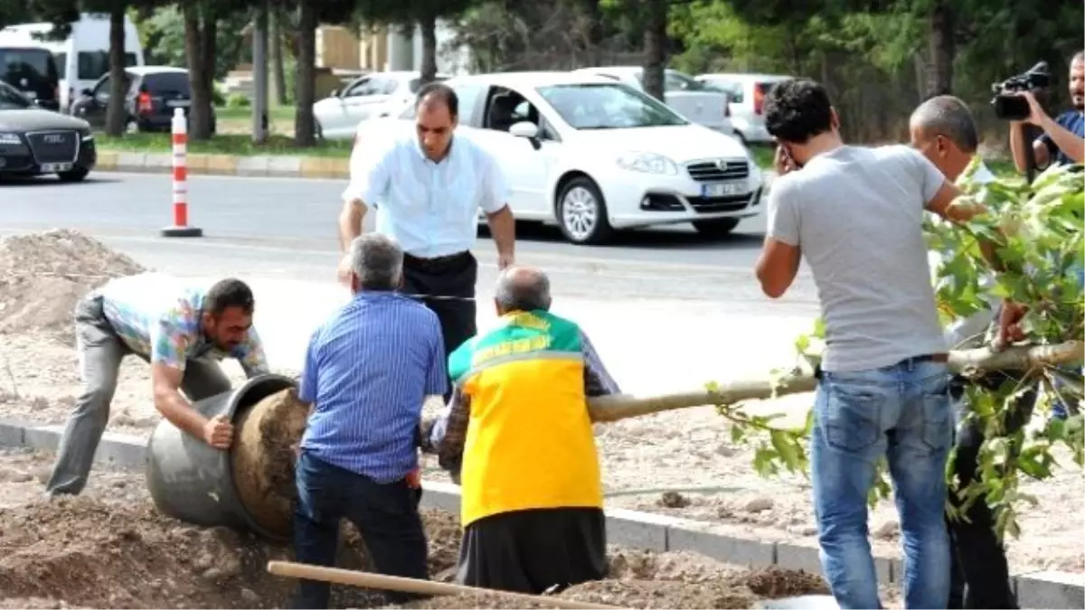 Elazığ Caddesinde Çalışmalar Sürüyor