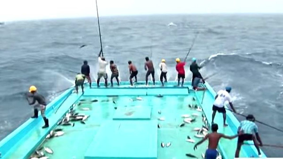 İnanılmaz Balık Avlama Tekniği