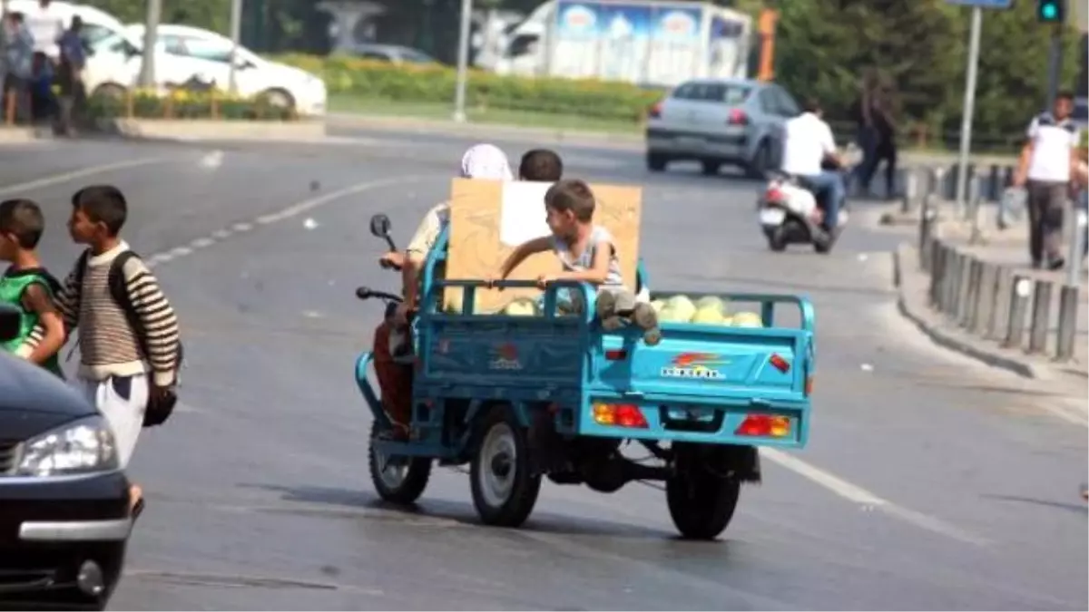 Kavunlar Arasında Tehlikeli Yolculuk