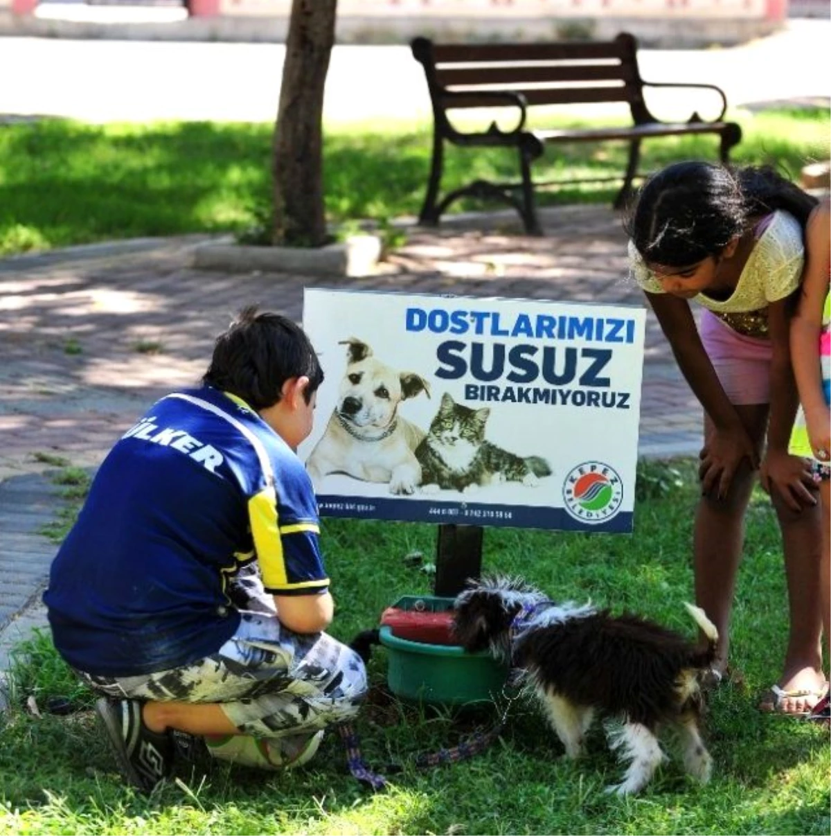 Kepez\'de Sokak Hayvanları İçin 30 Su İstasyonu
