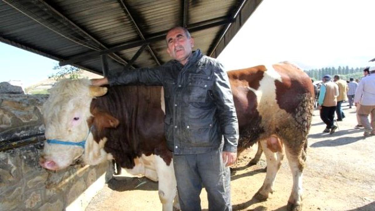 Bayburt\'ta "Kurban Bayramı" Heyecanı Başladı
