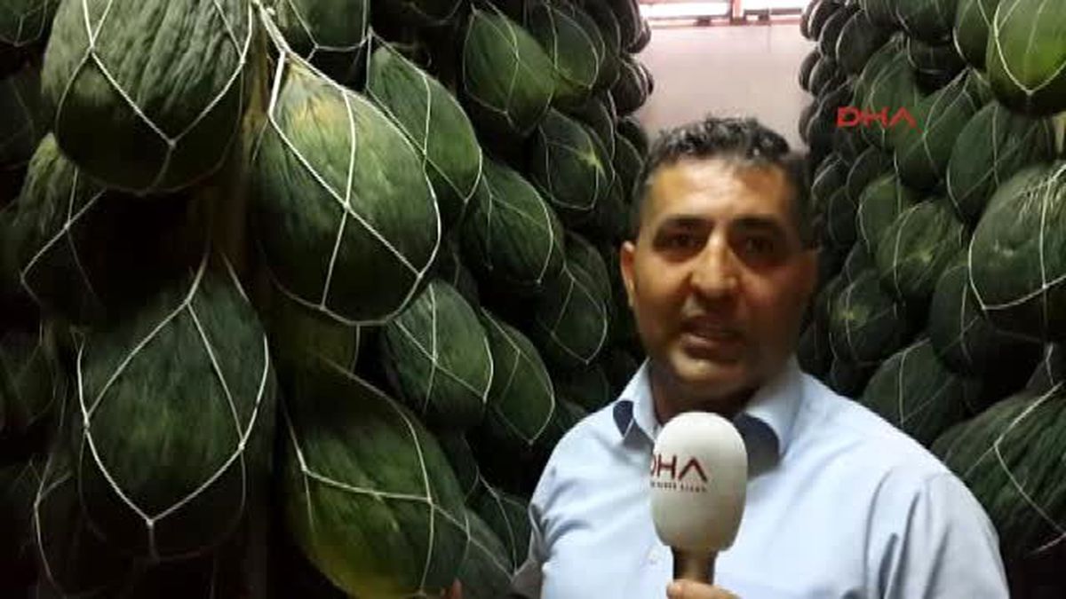 Kırkağaç Kavunları Kışa Hazır