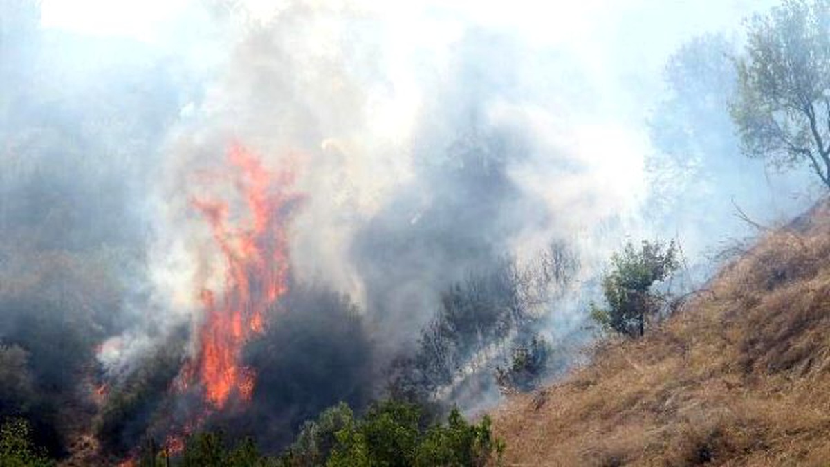 Manisa\'da Otluk Yangını Korkuttu