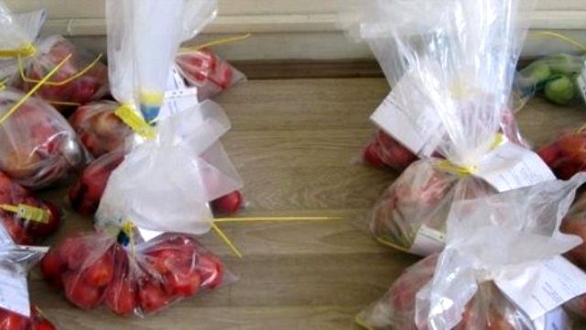 Açık Alanda Domates Üretiminde Eküy Çalışmaları Tamamlandı