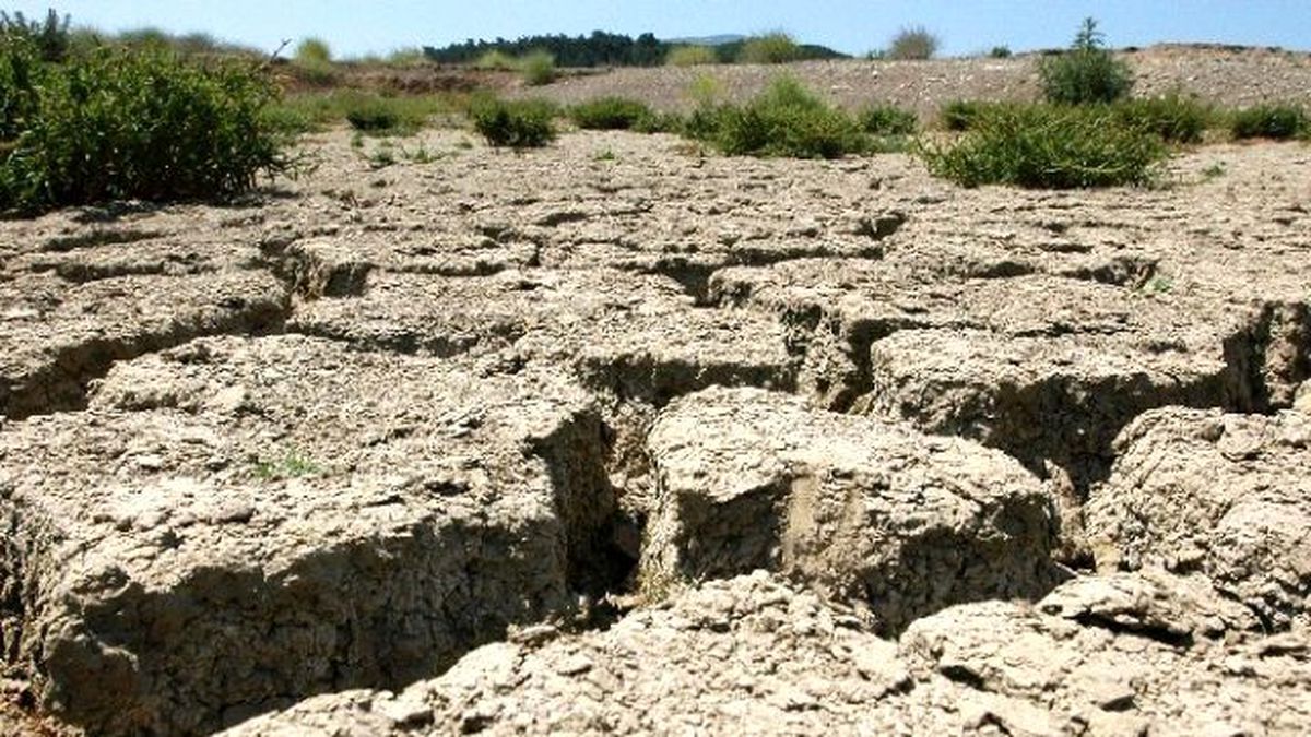 Bir Çift Ayakkabı Üretimi İçin Sekiz Bin Litre Su Harcanıyor