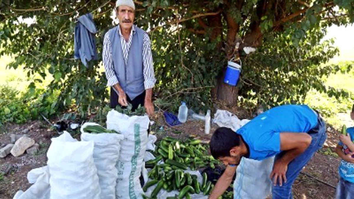 Diyarbakır Bölgesinin Enflasyon Rakamları Açıklandı